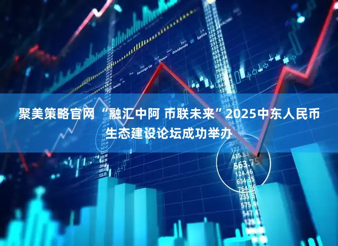 聚美策略官网 “融汇中阿 币联未来”2025中东人民币生态建设论坛成功举办