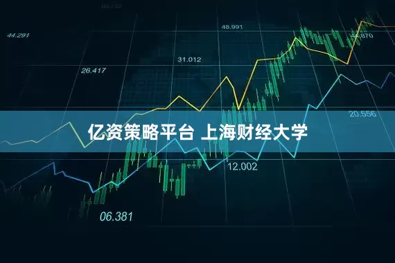 亿资策略平台 上海财经大学